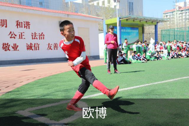 欧博公司介绍图